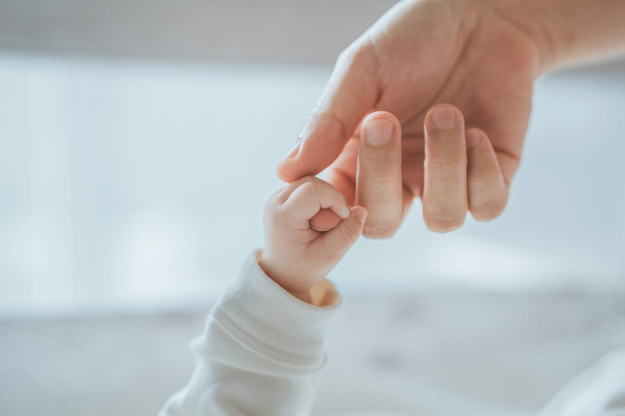The extent of abuse in kindergartens for 2024