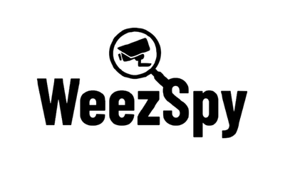 קצת על WeezSpy