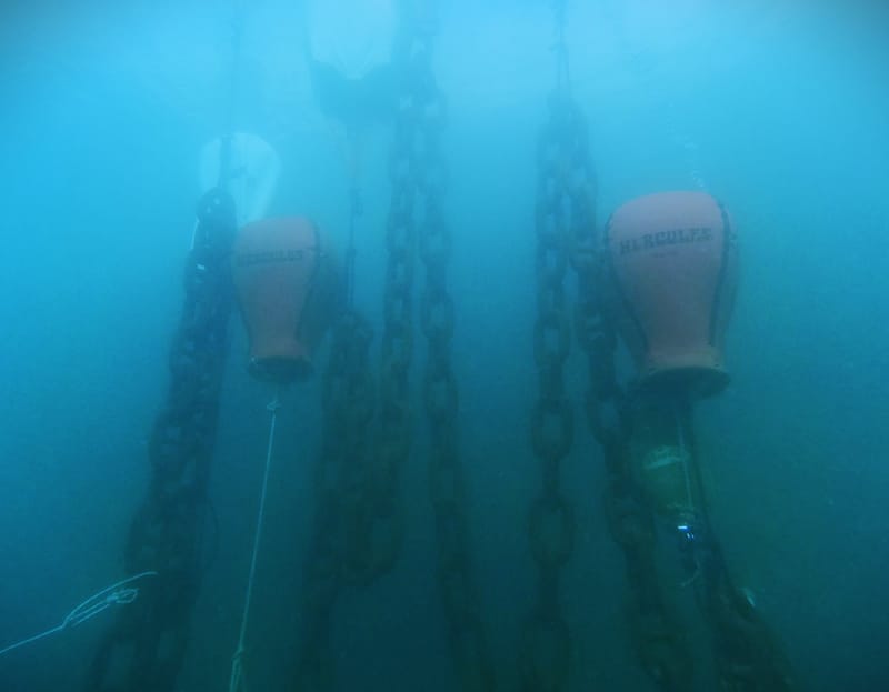 Specialization in Port Projects