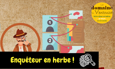 programme d'activités des mercredis de mai à juillet 2025.