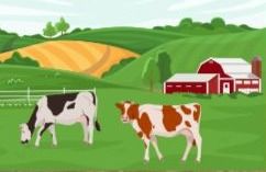 Programme des mercredis de septembre - octobre 2025