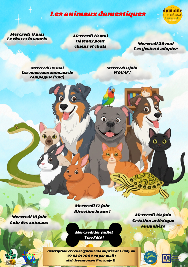 Les animaux domestiques
