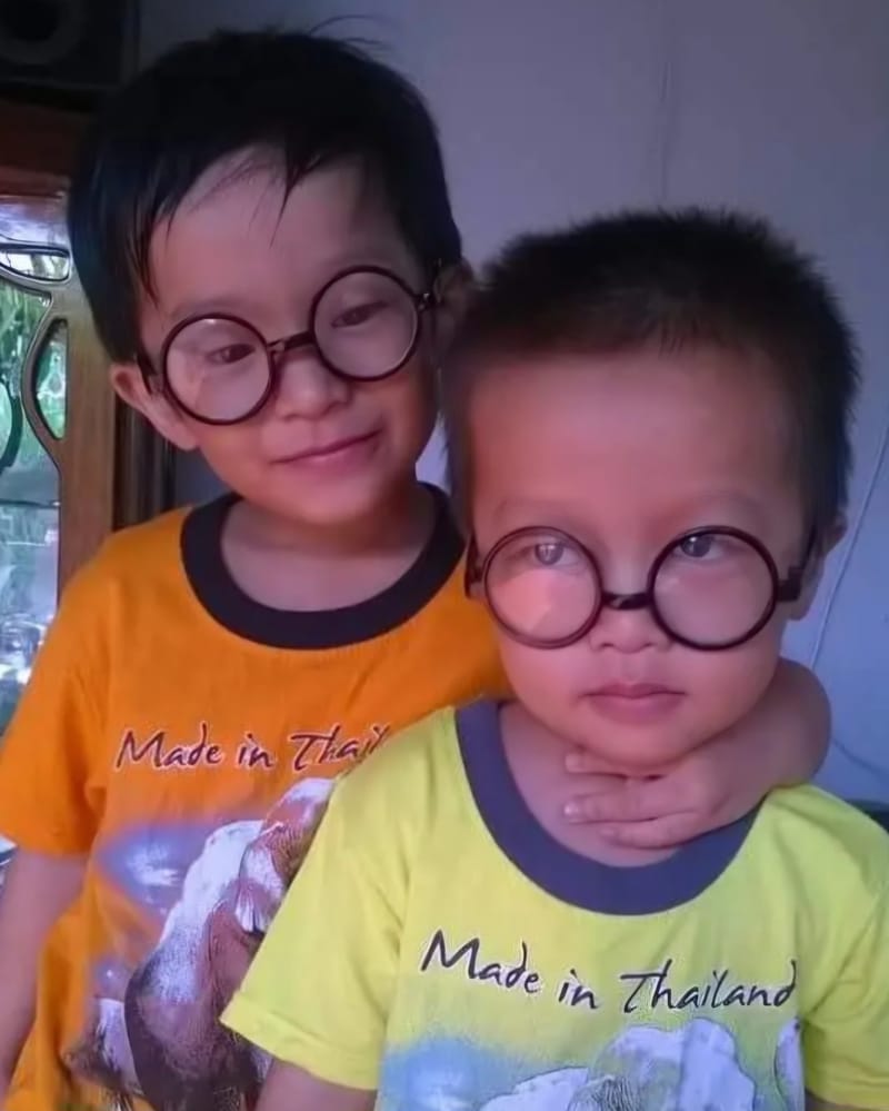 Education (Giáo dục)