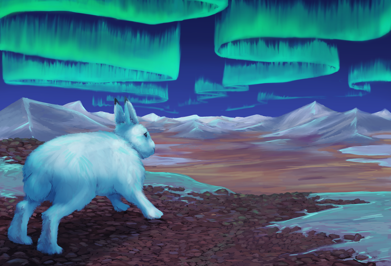 Environment & Background Design