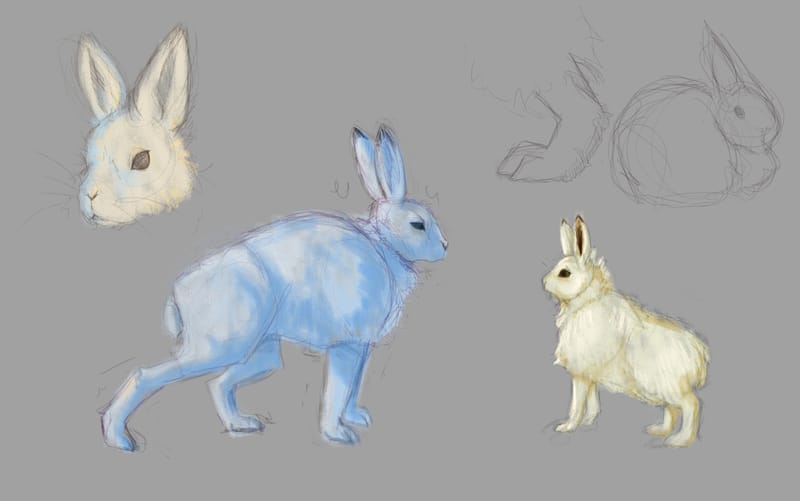 Animals & Environment