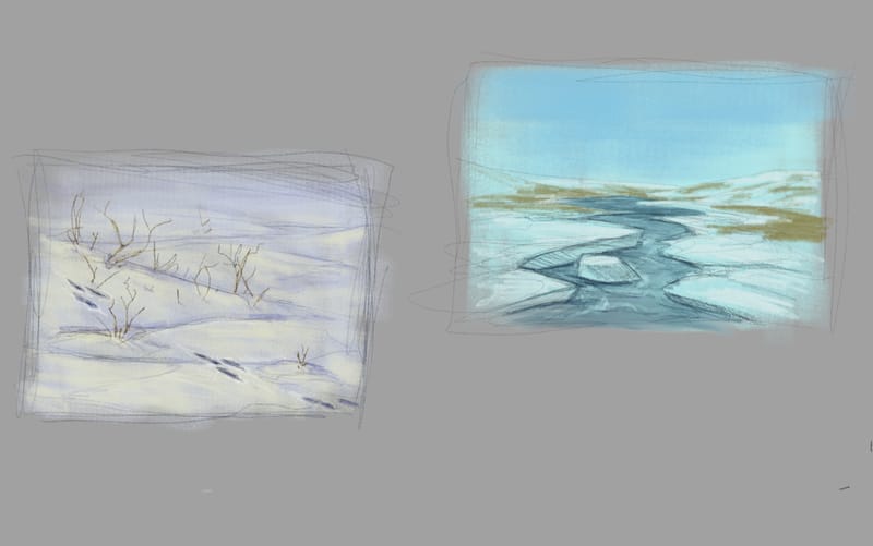 Animals & Environment