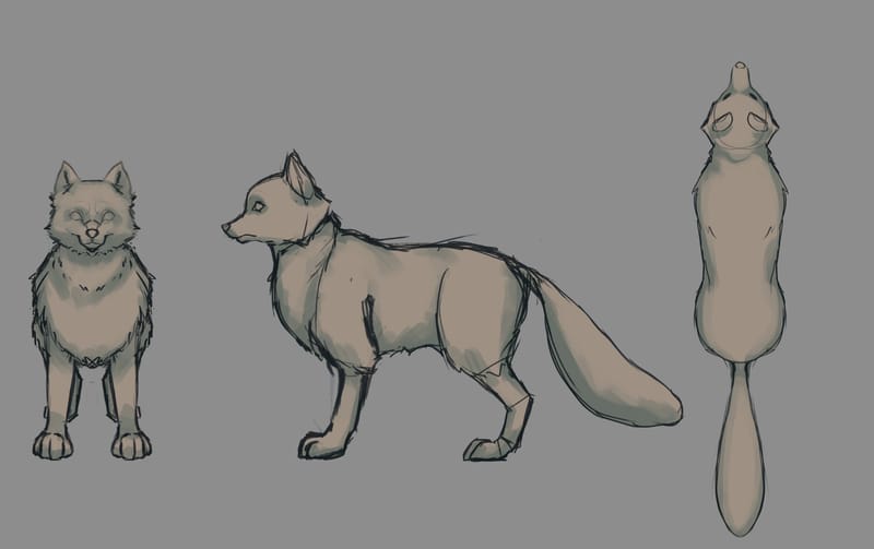 Animals & Environment