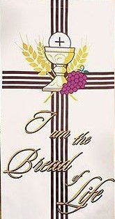 The History of Parks Chapel African Methodist Episcopal Church - Yesterday & Today