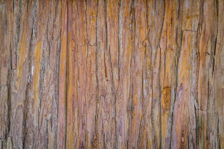Larch Wood: A Versatile and Sustainable Timber Choice