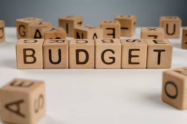 What is the 50/30/20 rule for budgeting ?