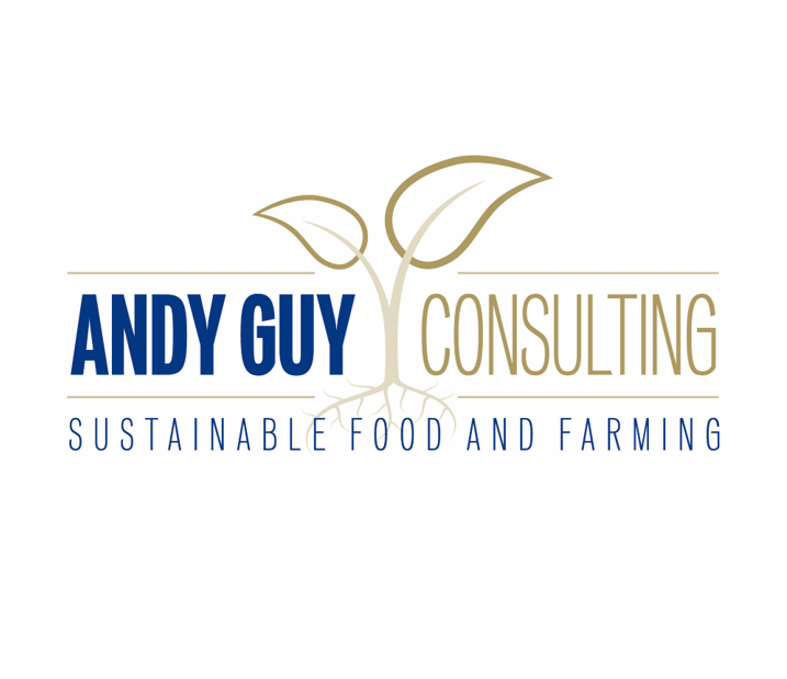 Andy Guy Consulting