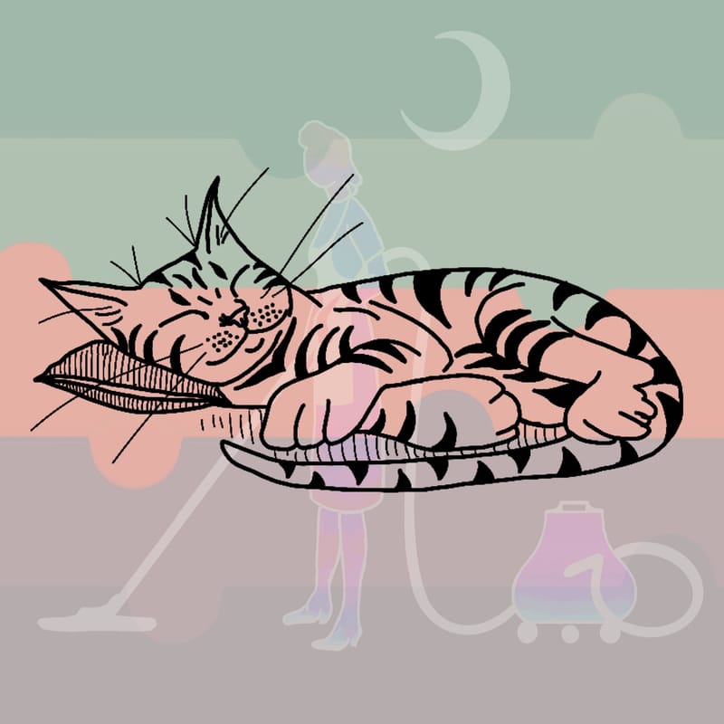 Friday the 13th December FLASH DAY!