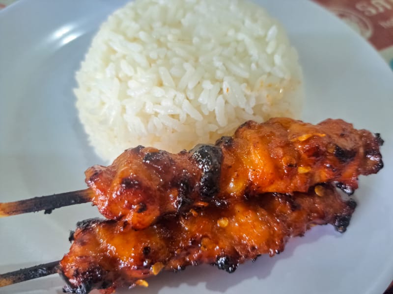 Saucy Chicken kabobs