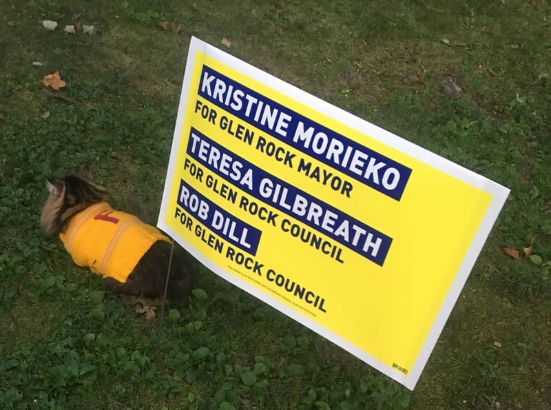 Everything you Need to Know About Lawn Signs