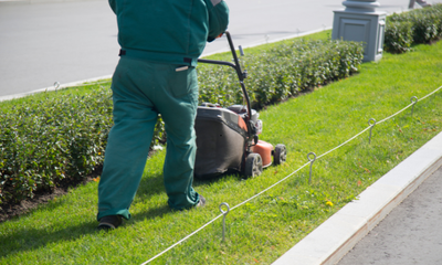 Comprehensive Tree Care Services in Kenilworth with Arbor Vitae Landscape