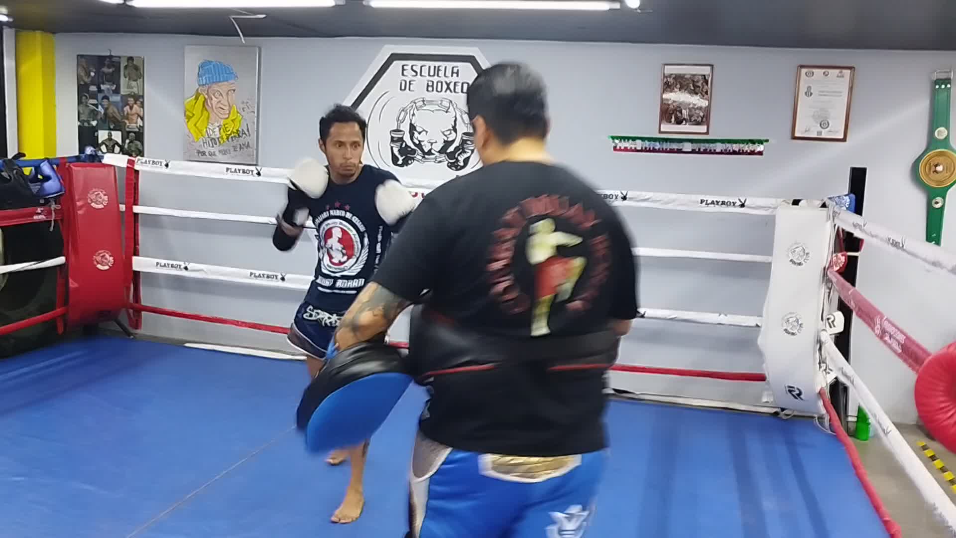 Profesor Jorge Alberto Peralta Barcenas