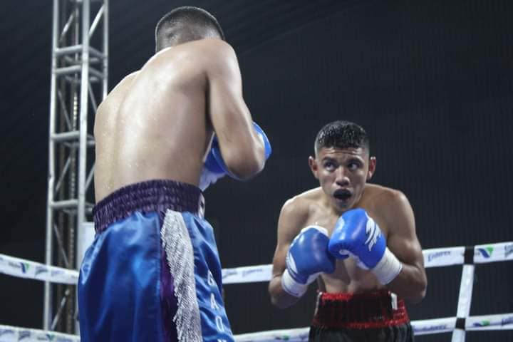 Boxeo Profesional