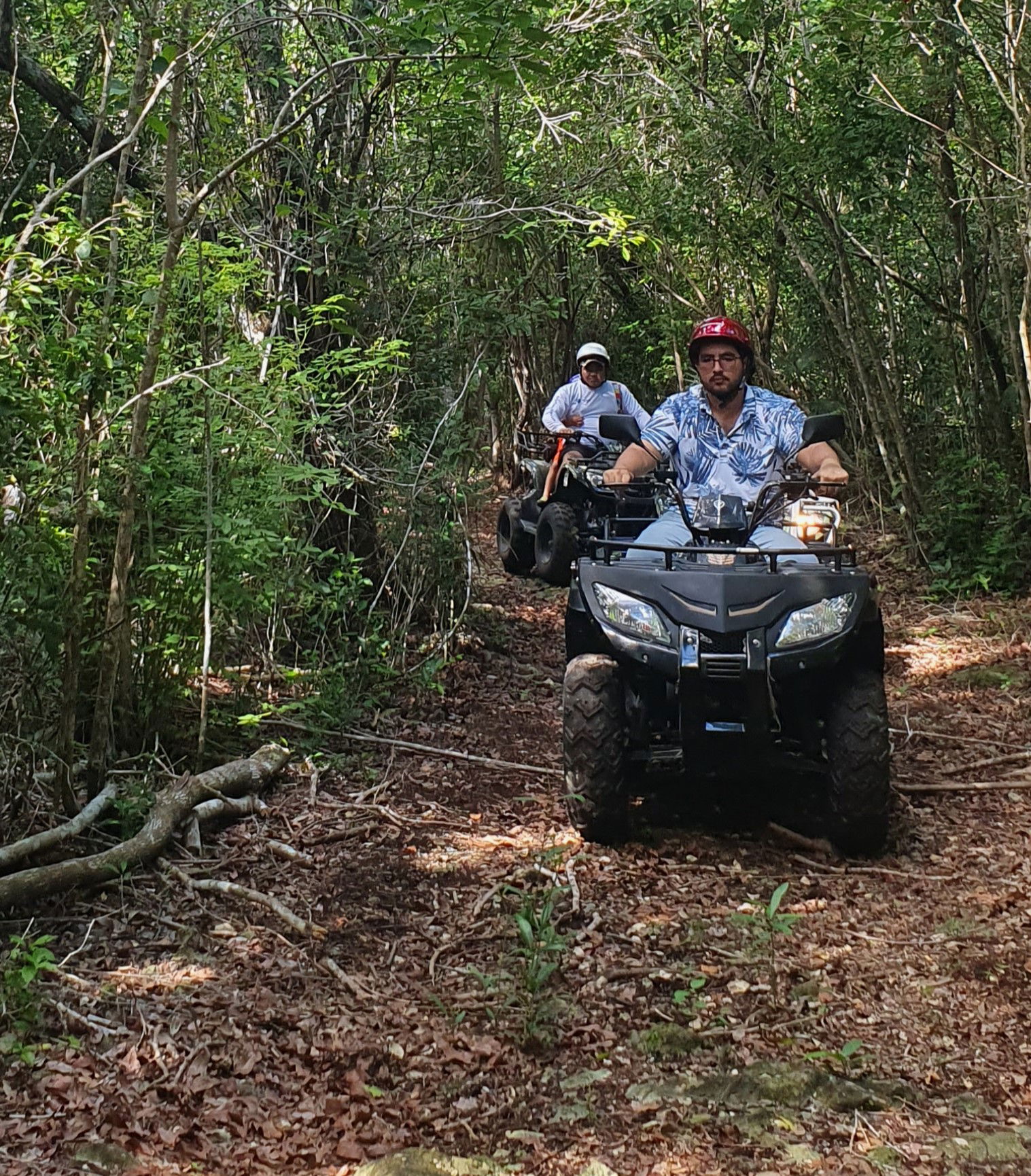 Atv, Show Maya & Degustaciones