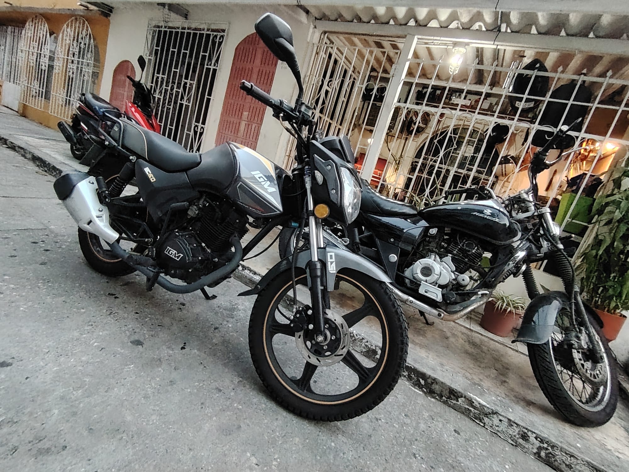 Igm ec 150