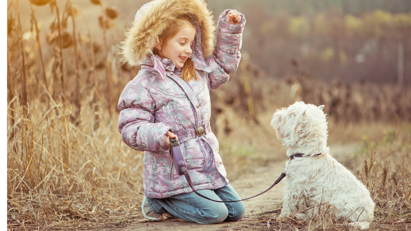 L’Éducation des Westies : Comment Bien S’y Prendre 
